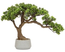 Atmosphera bonsai boom - in keramische pot - 45 cm - kunstplant - groen - Nepplanten - Sierplanten - Japanse stijl