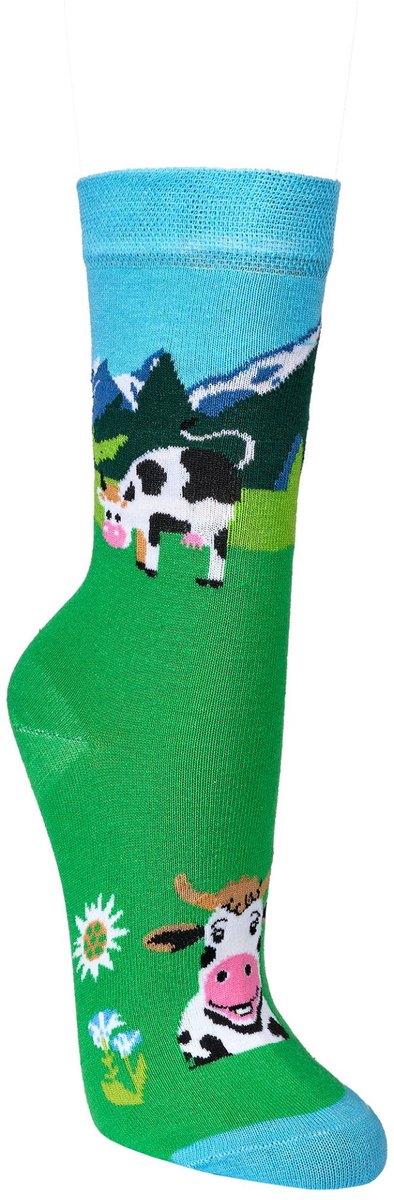 Socks4Fun Sokken voor dames, jongens, meisjes, heren, 2 paar, grappig, kleurrijk, 36-41 EU
