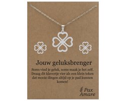 Stainless Steel Klavertje Vier Ketting + Oorbellen Setje op Cadeau Kaartje - Jouw geluksbrenger - 45 cm ketting & ± 10x10mm Oorknopjes - Zilverkleurig Roestvrij Staal - Pax Amare