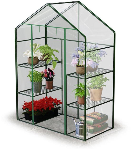 Groene kas met vier glasplaten en vier schappen, gevuld met bloemen en planten.