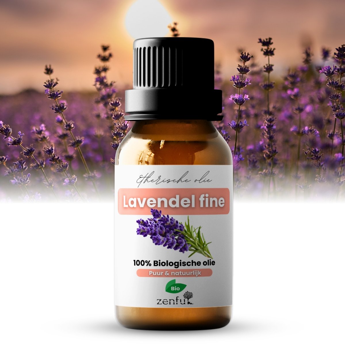 Goedkoopste Lavendel Fine Frankrijk etherische olie biologisch - 5 ml