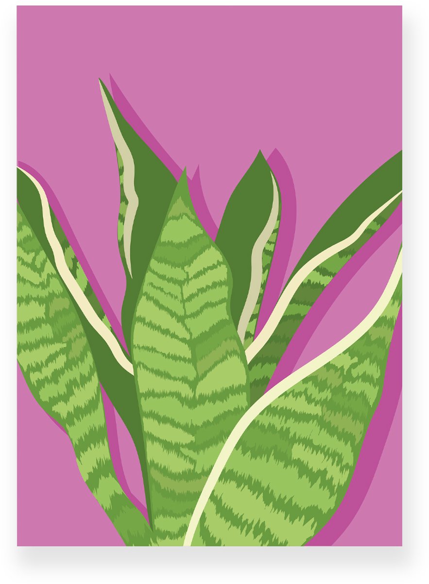 Yisual Poster 30x40 cm - Sansevieria - Planten - Groen - Roze - Botanisch - Minimalistisch - Muurdecoratie - Wanddecoratie