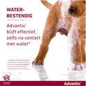 Bruine puppy met water en schuim. Tekst "Waterbestendig".