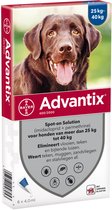 Bayer Advantix Vlooien & Teken Pipetten - Hond 25 Tot 40 kg - 6 stuks