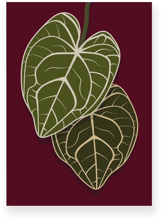 Poster 50x70 cm - Anthurium Bladeren - Planten - Groen - Burgundy - Botanisch - Minimalistisch - Muurdecoratie - Wanddecoratie