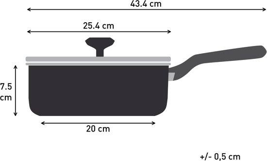 Illustratie van een hapjespan met deksel, met afmetingen: 25,4 cm breed, 20 cm lang, 7,5 cm hoog.