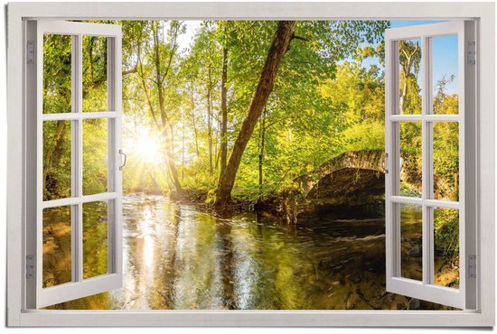 Reinders Poster Zonnestralen in het bos - 61x91,5cm - Papier - REINDERS