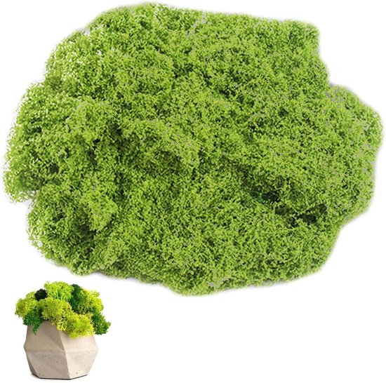 Glorex 6 3803 606 - Islandmoos, 50 g, dunkelgrün, zum Basteln