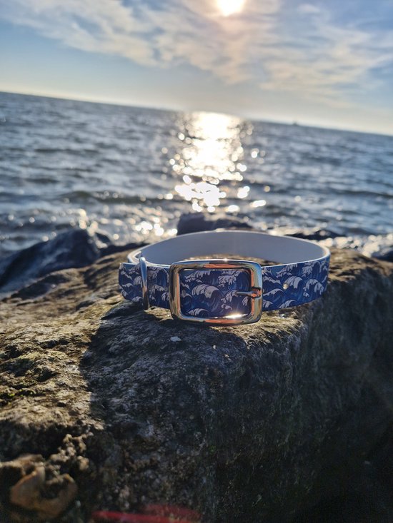 Borden Op Stranden Goeree-Overflakkee Met Verzoek Gestrande Zeehond Met Rust Te Laten~af643204 Borden Op Stranden Goeree-Overflakkee Met Verzoek Gestrande Zeehond Met Rust Te Laten~af643204