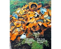 Archaeological research between Oude Delft and Westvest / Archeologisch onderzoek tussen Oude Delft en Westvest