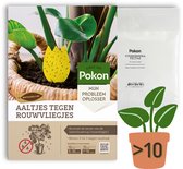 Pokon Aaltjes tegen Rouwvliegjes - 25 miljoen Aaltjes voor meer dan 10 kamerplanten - Natuurlijke rouwvliegenbestrijding - Resultaat binnen 2 tot 3 dagen