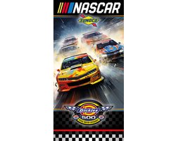 Signs USA - wandbord - dibond - Nascar - 45 x 90 cm - Texas Dickies