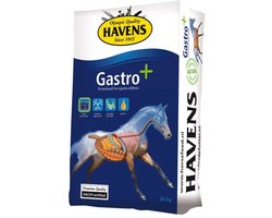 Havens Gastro +