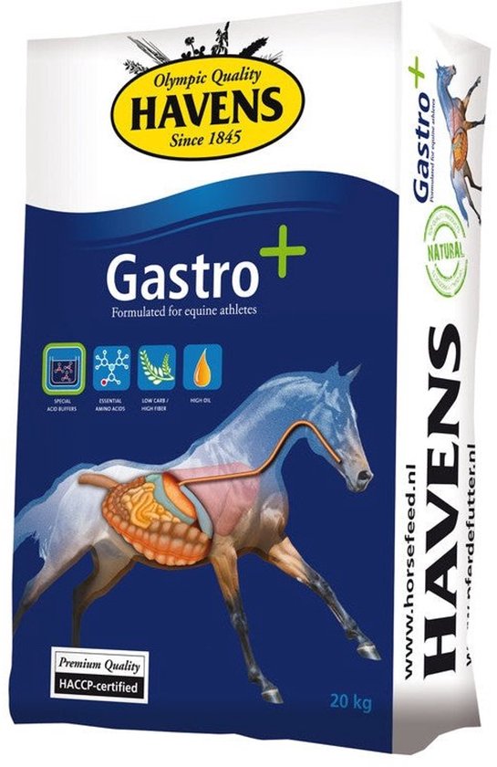 Havens Gastro + Havens Gastro +