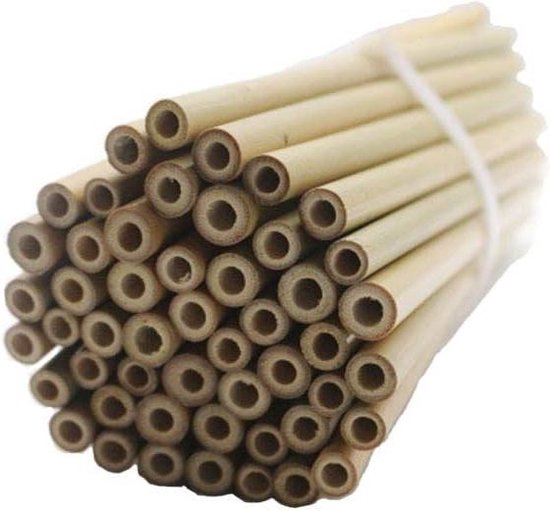 Super Idee Bamboebuisjes – 50 Stuks, 20 Cm, Voor Insectenhotel, Wilde Bijen, Nesthulp – Waterdicht En Glad