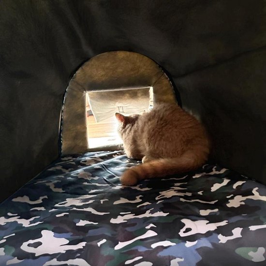 Kattenhuis voor buiten - Weerbestendig geïsoleerd kattenhuis
