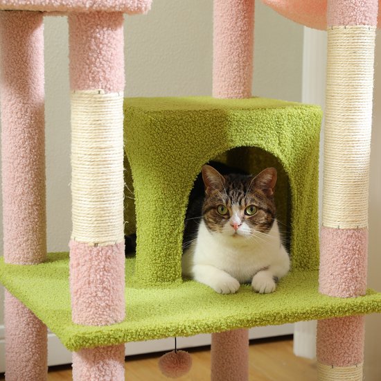 Gestreepte kat zit in een groen huisje op een roze en groene krabpaal.