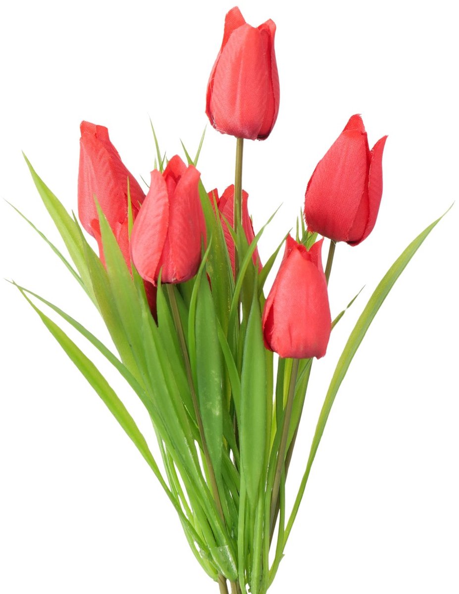 Steelbloem tulp rood 31 cm