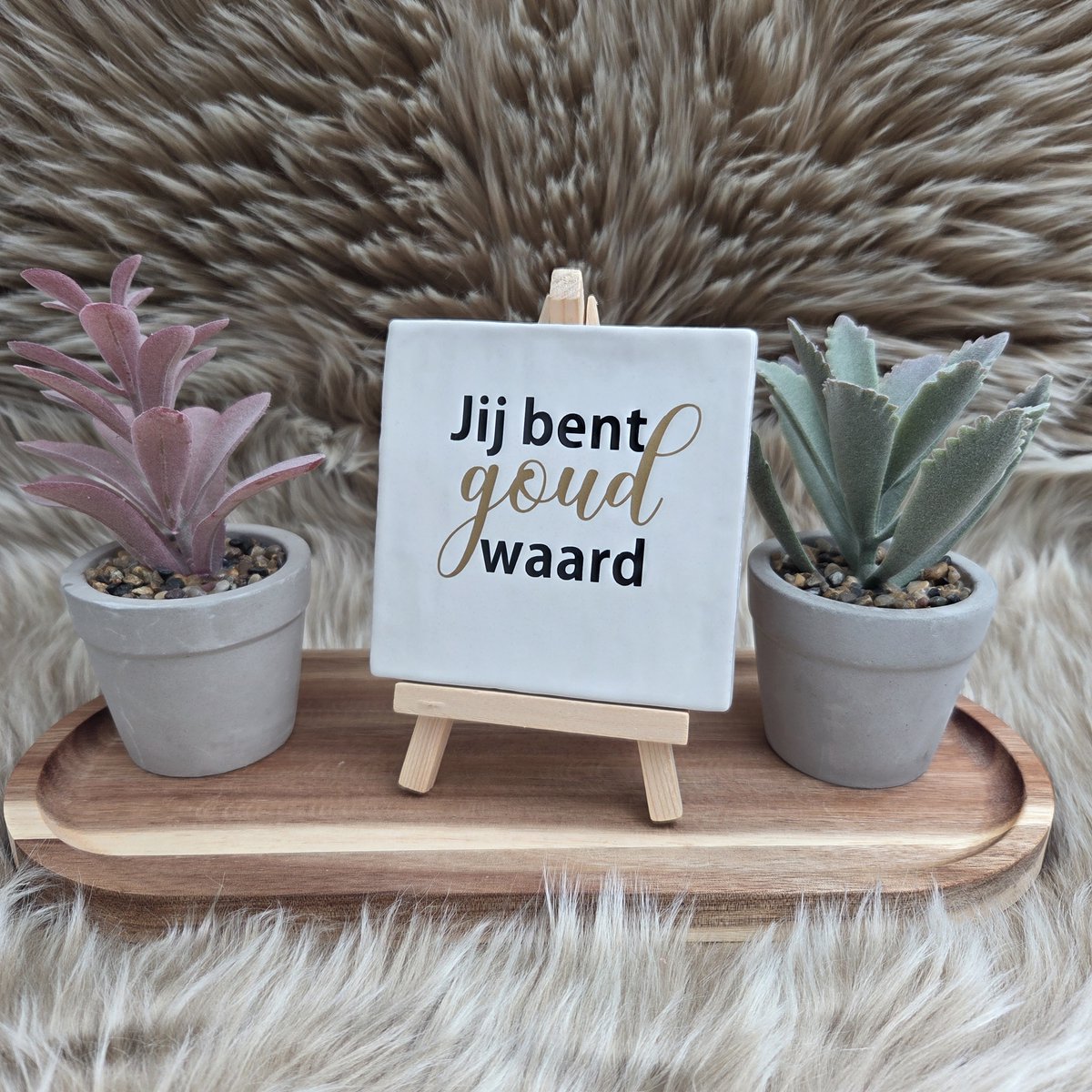 Robuust Wenstegeltje – Hip trendy tegeltje – Jij bent goud waard - wit - cadeau - gift - verjaardag - zomaar - gepersonaliseerd cadeau - decoratie voor woonkamer - spreuktegel - kado – Trendy nu
