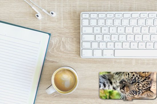 Coque OPPO A77 5G | A57 5G Cuir PU Protection Etui Housse pour Bébé Leopard