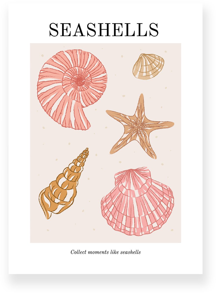 Yisual Poster 50x70 cm - Seashells - Strand - Roze - Bruin - Minimalistisch - Boho - Muurdecoratie - Wanddecoratie