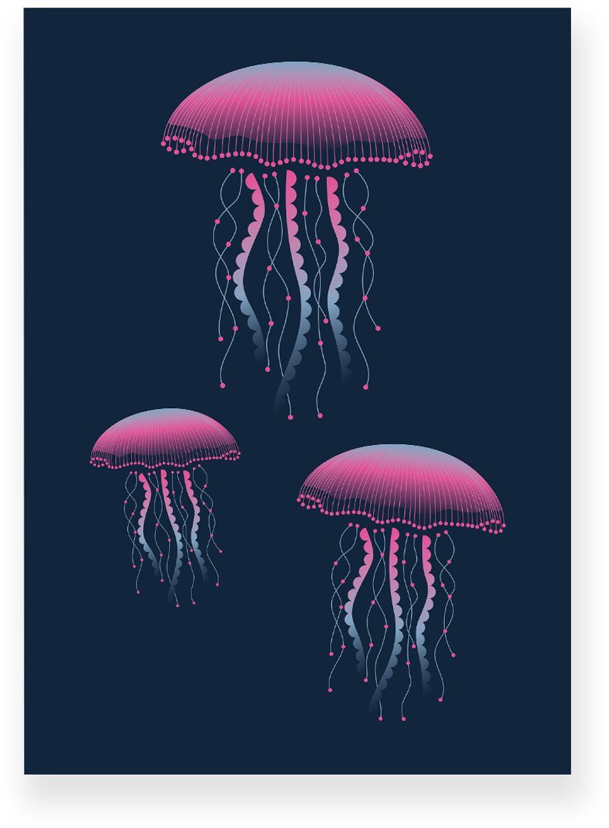 Yisual Poster 20x30 cm - Kwallen - Roze - Donkerblauw - Natuur - Modern - Muurdecoratie - Wanddecoratie