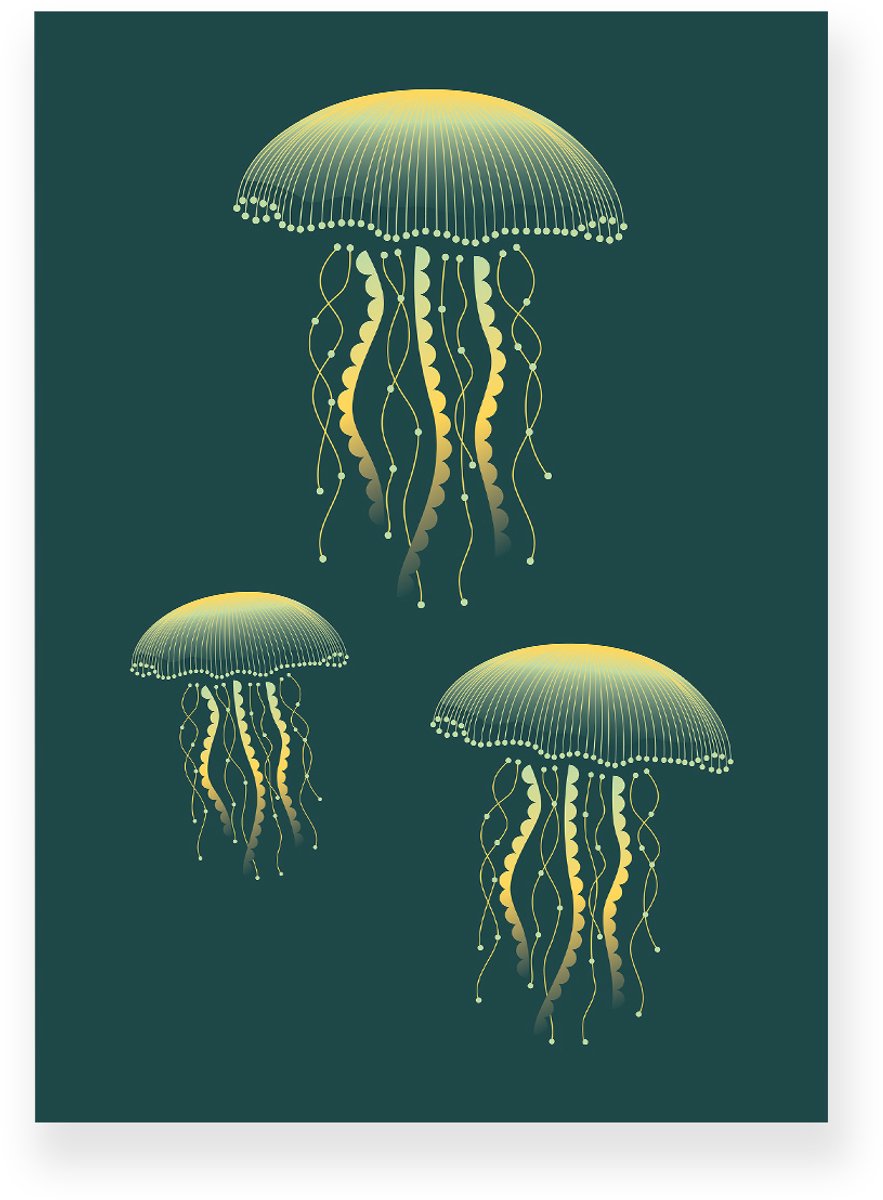 Yisual Poster 50x70 cm - Kwallen - Goud - Donkergroen - Natuur - Modern - Muurdecoratie - Wanddecoratie