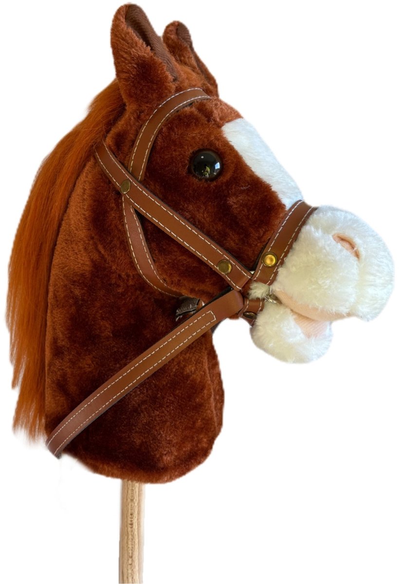 Paard