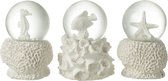 J-Line waterbal Zee - polyresin - wit - large - 3 stuks