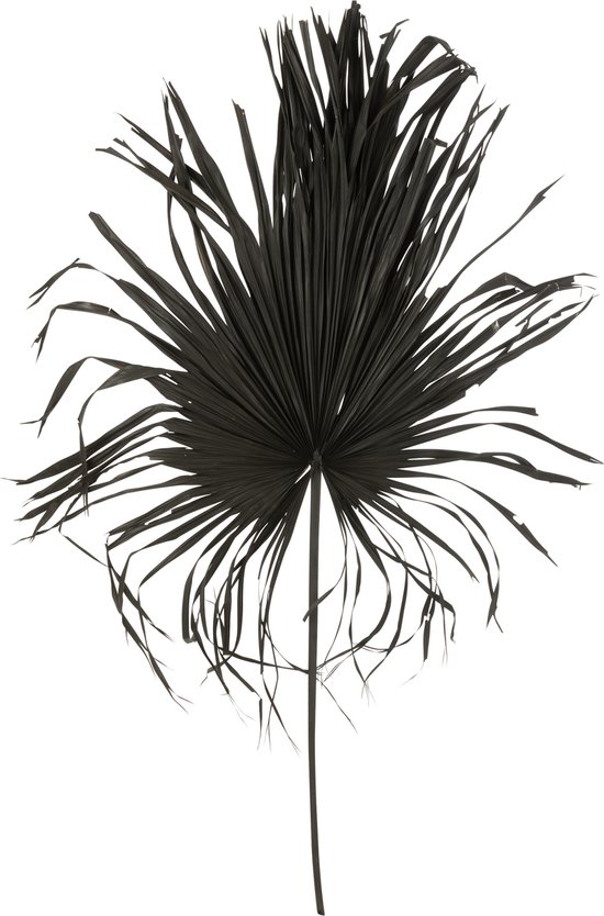 J-Line Palmblad Deco Palmboom Zwart