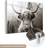 MuchoWow® Peinture sur Verre - Highlander écossais - Vache - Animaux - Zwart - Wit - 60x40 cm - Peintures sur Verre Acrylique - Photo sur Glas