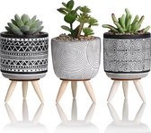 Kunstmatige vetplant in potset met standaard, set van 3 kleine nepplanten kamerpotten voor badkamer, geschenken, lentedecoratie, woondecoratie, H16,5 cm