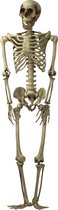 Halloween/horror thema hang decoratie skelet - met LED licht ogen - griezel pop - 160 cm