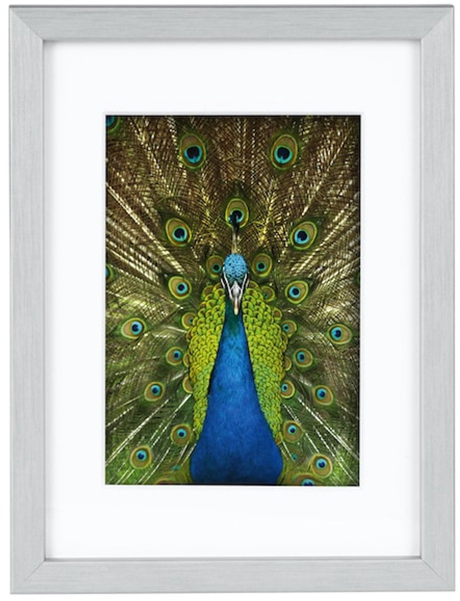 Goldbuch Fotolijst Pino - Zilver - 9x13 cm (13x18 cm)