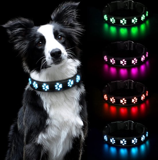 Collier lumineux pour chien, collier lumineux pour chien, étanche,  rechargeable par... | bol