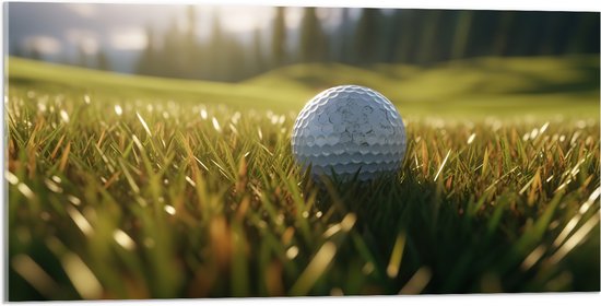 Acrylglas - Gras - Golf - Golfbal - 100x50 cm Foto op Acrylglas (Wanddecoratie op Acrylaat)