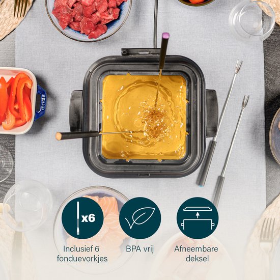 Fonduepan met kaasfondue en vlees. Inclusief 6 fonduevorken.