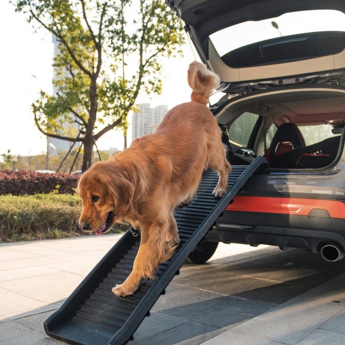 Rampe Premium Château Animaux® - Aluminium - Avec Antidérapant - Escalier  pour Chien 