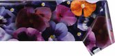 Raved Tafelzeil Bloemen  140 cm x  50 cm - Paars - PVC - Afwasbaar