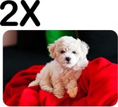 BWK Flexibele Placemat - Bichon Frise - Witte Hond op Rode Deken - Set van 2 Placemats - 45x30 cm - PVC Doek - Afneembaar