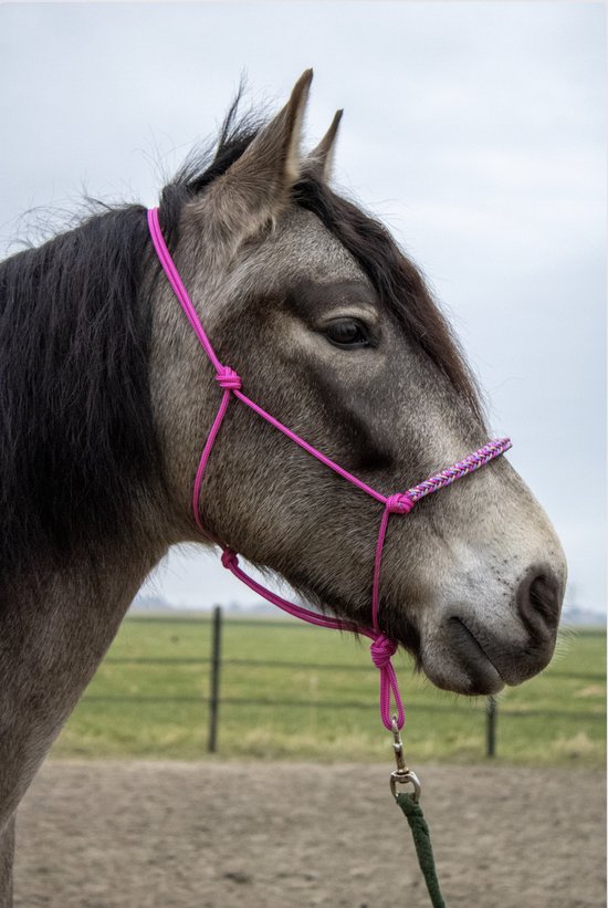 Licol en corde avec rênes en corde Fuchsia – Svensk Ridsport
