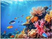 Poster Glanzend – Felkleurige Koraal Omringd door Tropische Vissen op Zeebodem - 40x30 cm Foto op Posterpapier met Glanzende Afwerking