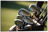 Dibond - Golf Clubs in Trolley op Golfbaan - 60x40 cm Foto op Aluminium (Met Ophangsysteem)