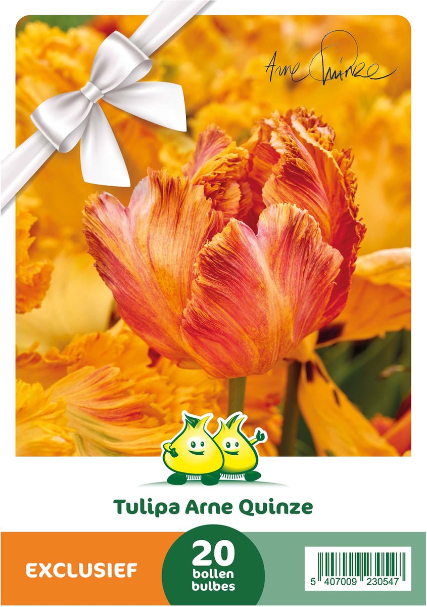 Cadeauverpakking 20 tulpen Arne Quinze - geschenkverpakking