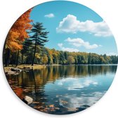 Dibond Muurcirkel - Bomen - Bos - Meer - Water - Kleuren - 50x50 cm Foto op Aluminium Muurcirkel (met ophangsysteem)