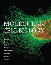 Mol Cell Bio 8E Pi