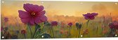 Tuinposter – Roze Bloemen in het Veld bij Wazige Zon - 150x50 cm Foto op Tuinposter (wanddecoratie voor buiten en binnen)