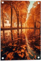 Tuinposter – Rijen Feloranje Bomen aan het Water - 40x60 cm Foto op Tuinposter (wanddecoratie voor buiten en binnen)