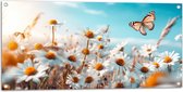 Tuinposter – Bloemen - Vlinder - Madeliefjes - 100x50 cm Foto op Tuinposter (wanddecoratie voor buiten en binnen)