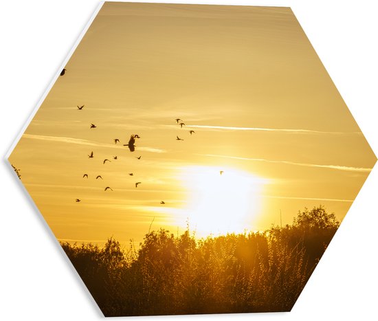 PVC Schuimplaat Hexagon - Zwerm Vogels Vliegend boven de Bomen tijdens de Mooie Zonsondergang - 40x34.8 cm Foto op Hexagon (Met Ophangsysteem)